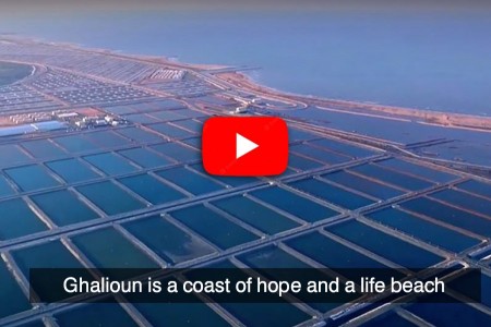 Ghalioun is a coast of hope and a life beach
