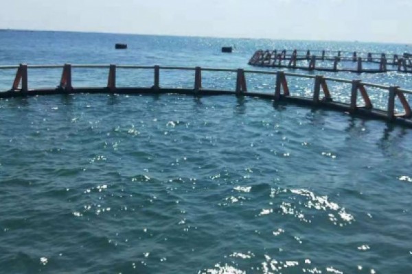 Marine Aquaculture: sea cages Project East of Port Said